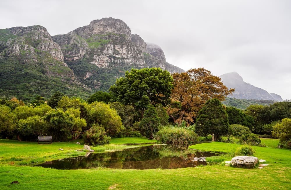 Jardín Botánico Kirstenbosch